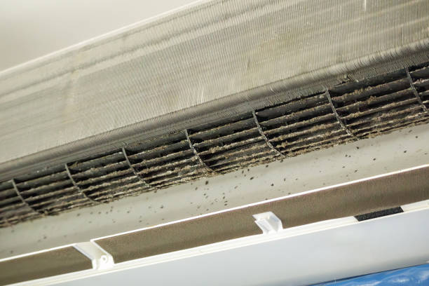 Best Emergency Air Duct Cleaning Services in Rheems, PA